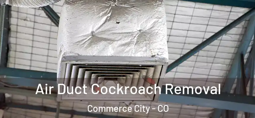  Air Duct Cockroach Removal Commerce City - CO