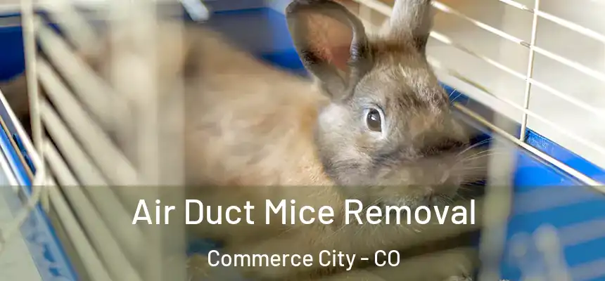  Air Duct Mice Removal Commerce City - CO