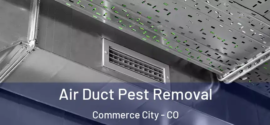 Air Duct Pest Removal Commerce City - CO