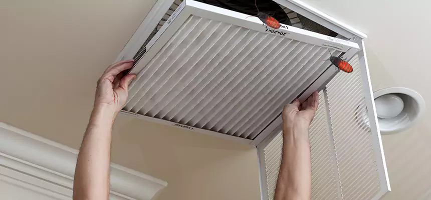 Our Insect Removal from Air Ducts Services in Commerce City, CO