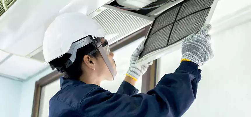 Our Mold & Mildew Removal from Air Ducts Services in Commerce City, CO