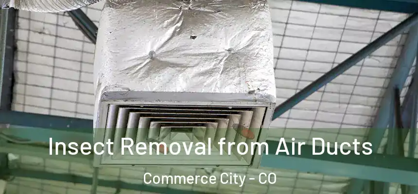  Insect Removal from Air Ducts Commerce City - CO