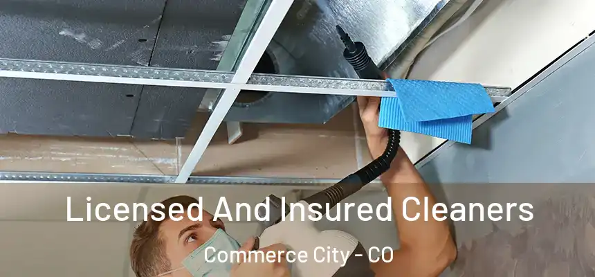 Licensed And Insured Cleaners Commerce City - CO