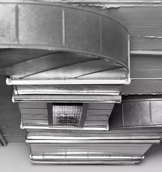 Professional Air Duct Pest Removal in Commerce City, CO