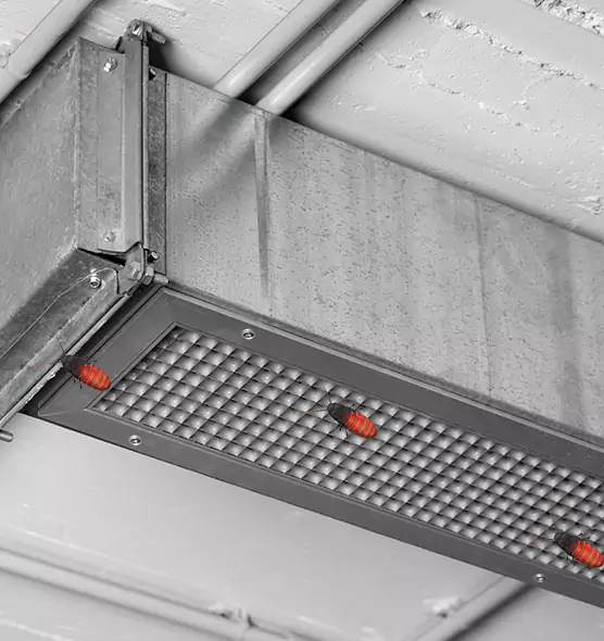 Affordable Insect Removal from Air Ducts in Commerce City, CO