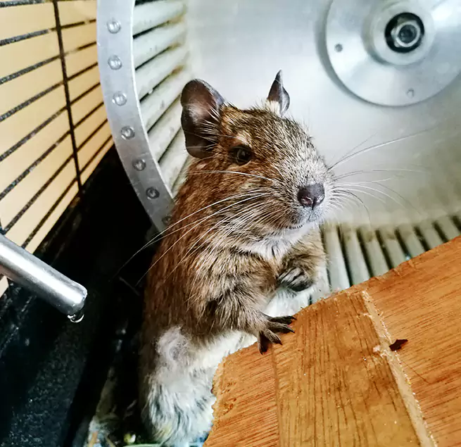 Why Homeowners & Businesses Trust Us Commerce City, CO